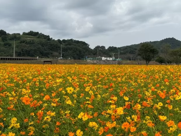 메인사진