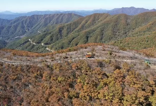 메인사진