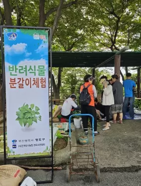 메인사진