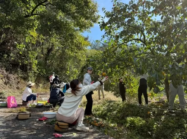 메인사진