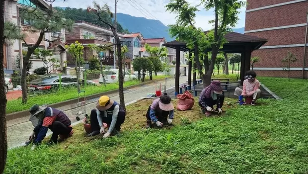 메인사진